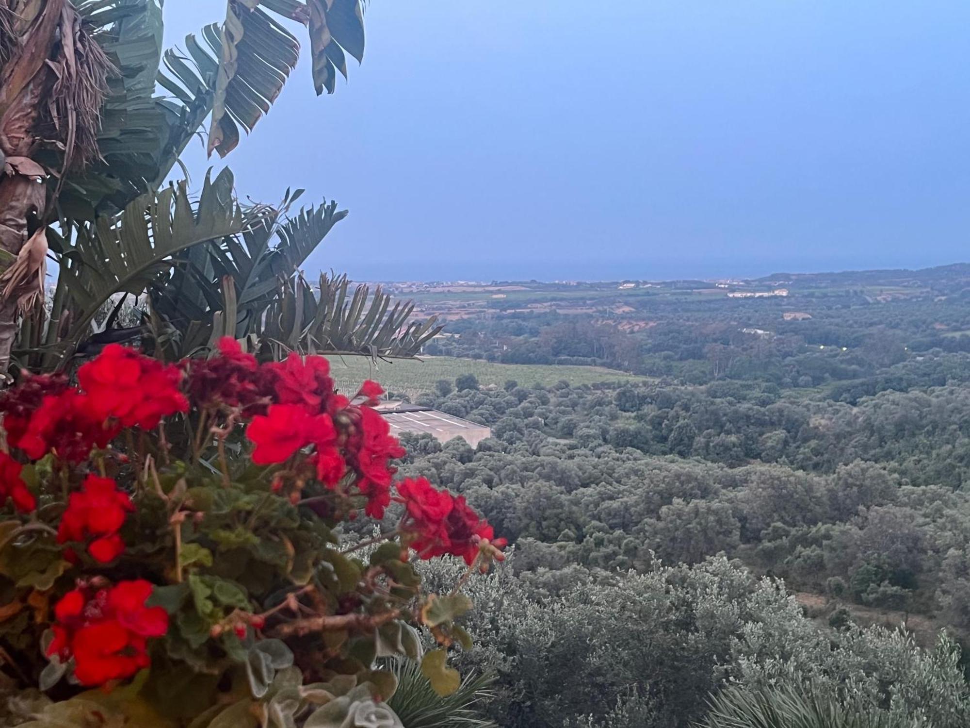 Agriturismo Catena Ciro Экстерьер фото